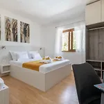 Villa Ivona With Swimming Pool And Jacuzzi *